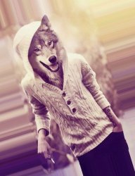 Nick_Goldin