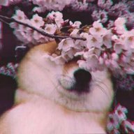 Lorenzo_Winston