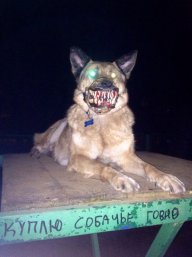 M0naco