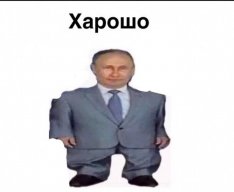 Ватокат