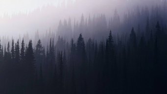 Ivan_Voliv