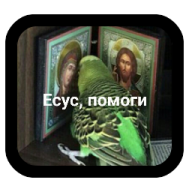 Dima_Teplov