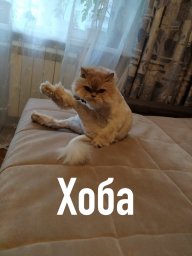 Aleksey_Montano