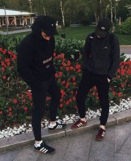 Proga_Montana