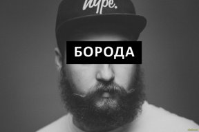 Дмитрий Рыбаков