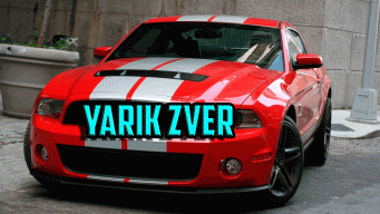 Yarik_Zver