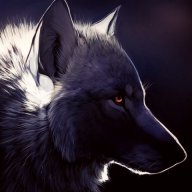 Sargent_Wolf