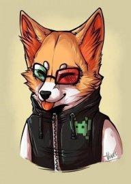 Nikolya123