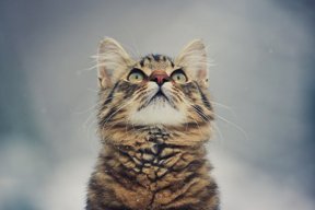 Egor_Tkachuk