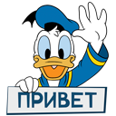 Denis_Shannel