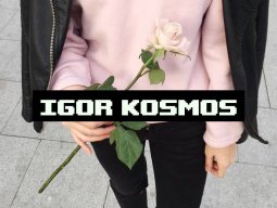 Kosmos | Gonzales