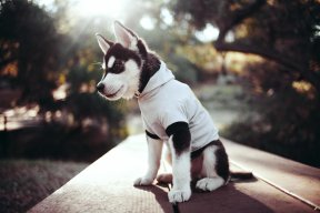 Arseniy Winston