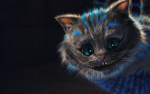 Max_Groot