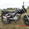 Maksim_Terenin