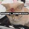 ✯-"Micheal_Winchester"-✯