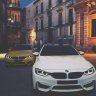 Vasa_Pavlov 03