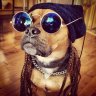 Pistrun_Starkov