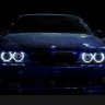 Danya_Wel