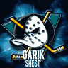 Garik_Shest