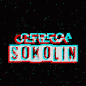 Cerega Sokolin