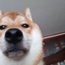 marksould