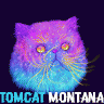 Tomcat_Montana