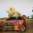 Damir_Jordan