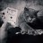 Ivan_Anderson