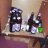 Rais_Terrarium