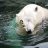 Arthur_Nikitin