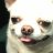 Sergo_Mazhor