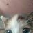 Andea_Pezhich
