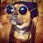 Pistrun_Starkov