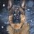 Andrew_Casto