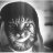 Vadim_Forward