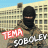 Tema_Sobolev