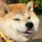 MrDoge