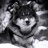 _!Wolf!_