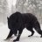 Ruslan_Zver