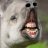 Gabriel_Stark
